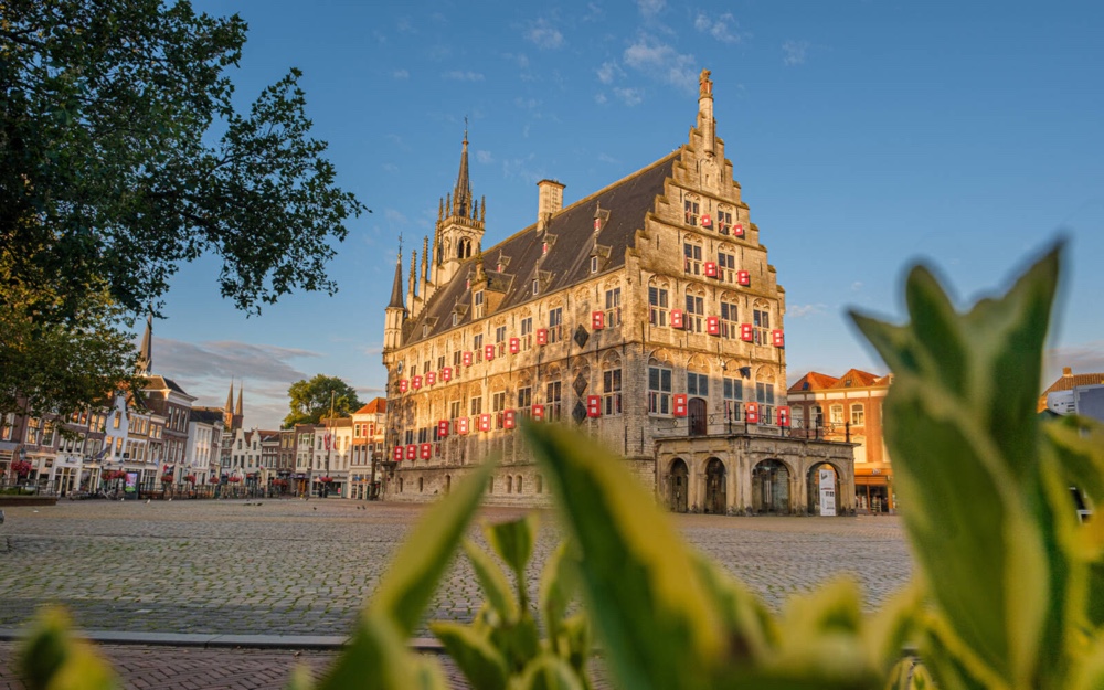 Gouda